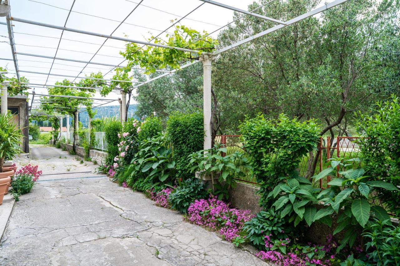 Francesca Guesthouse Mlini Exteriér fotografie